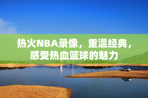 热火NBA录像，重温经典，感受热血篮球的魅力