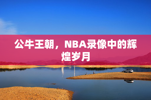 公牛王朝，NBA录像中的辉煌岁月