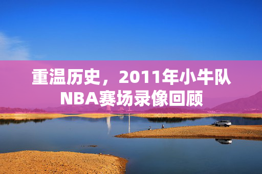 重温历史，2011年小牛队NBA赛场录像回顾