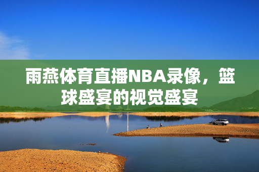 雨燕体育直播NBA录像，篮球盛宴的视觉盛宴