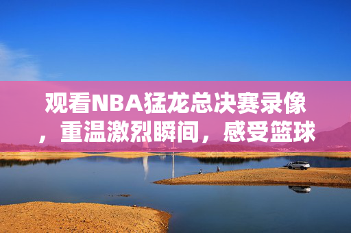 观看NBA猛龙总决赛录像，重温激烈瞬间，感受篮球魅力