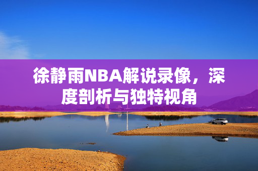 徐静雨NBA解说录像，深度剖析与独特视角