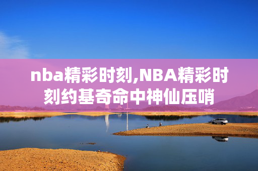 nba精彩时刻,NBA精彩时刻约基奇命中神仙压哨