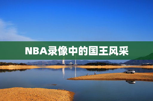 NBA录像中的国王风采