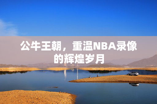 公牛王朝，重温NBA录像的辉煌岁月