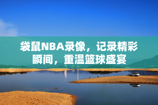 袋鼠NBA录像，记录精彩瞬间，重温篮球盛宴