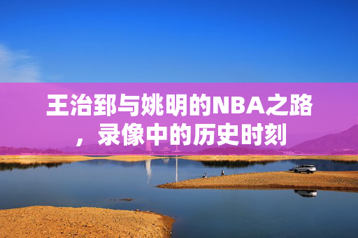 王治郅与姚明的NBA之路，录像中的历史时刻