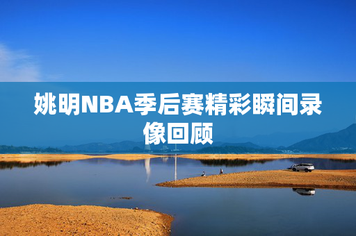 姚明NBA季后赛精彩瞬间录像回顾
