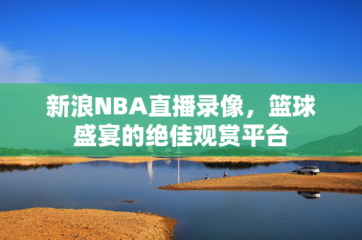 新浪NBA直播录像，篮球盛宴的绝佳观赏平台