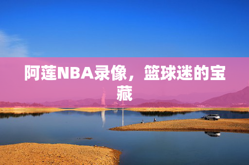 阿莲NBA录像，篮球迷的宝藏