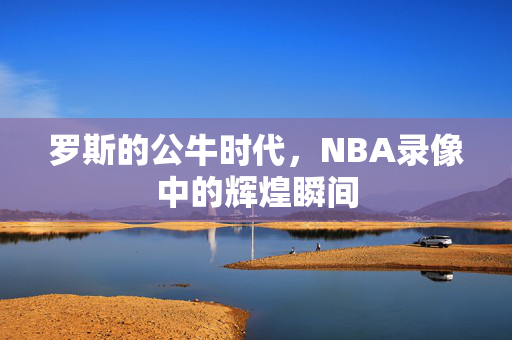 罗斯的公牛时代，NBA录像中的辉煌瞬间