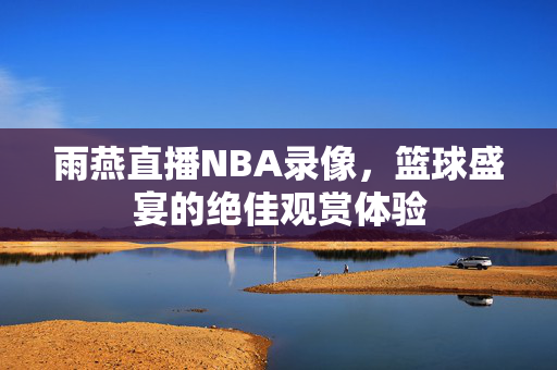 雨燕直播NBA录像，篮球盛宴的绝佳观赏体验