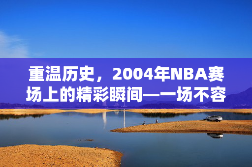重温历史，2004年NBA赛场上的精彩瞬间—一场不容错过的录像回顾