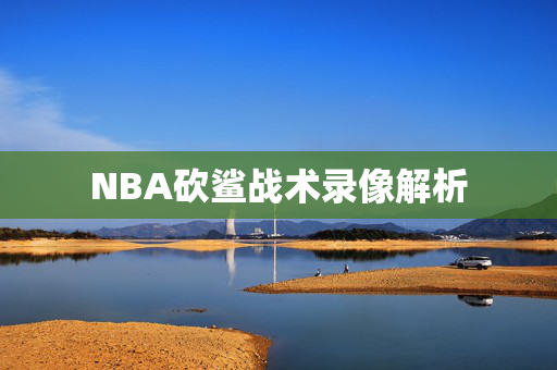 NBA砍鲨战术录像解析