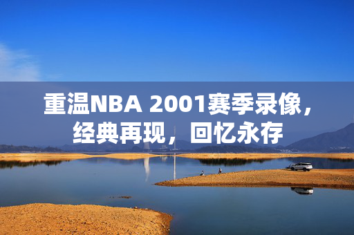 重温NBA 2001赛季录像，经典再现，回忆永存