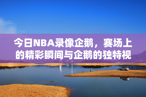 今日NBA录像企鹅，赛场上的精彩瞬间与企鹅的独特视角