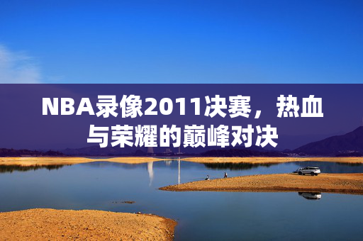 NBA录像2011决赛，热血与荣耀的巅峰对决