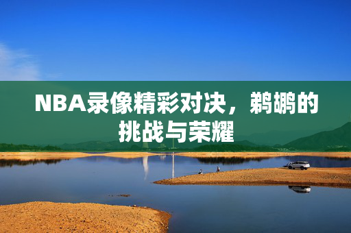 NBA录像精彩对决，鹈鹕的挑战与荣耀