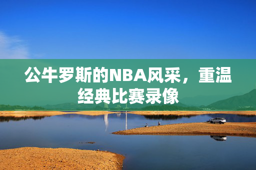 公牛罗斯的NBA风采，重温经典比赛录像