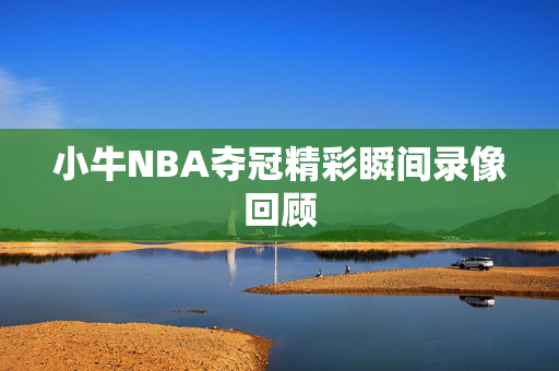 小牛NBA夺冠精彩瞬间录像回顾
