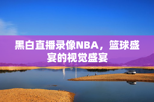 黑白直播录像NBA，篮球盛宴的视觉盛宴