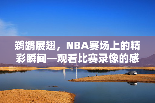 鹈鹕展翅，NBA赛场上的精彩瞬间—观看比赛录像的感悟