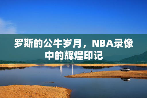 罗斯的公牛岁月，NBA录像中的辉煌印记