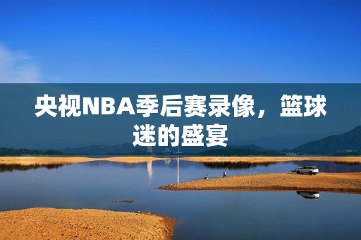 央视NBA季后赛录像，篮球迷的盛宴